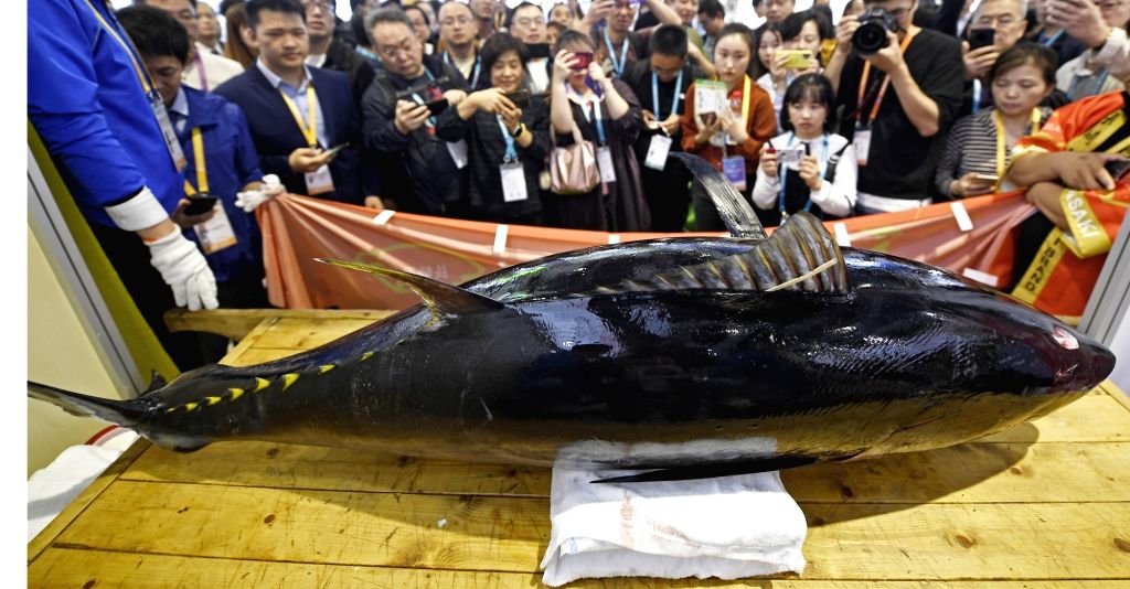 Bluefin tuna sells for $1.8 million in Tokyo
